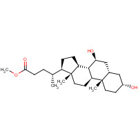10538-55-3 Ursodeoxycholic Acid Methyl Ester chemical structure