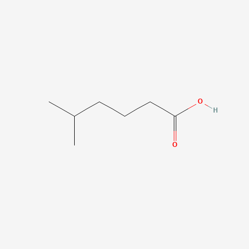 628-46-6 5-Methylhexanoic acid chemical structure