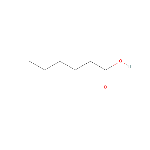 628-46-6 5-Methylhexanoic acid chemical structure