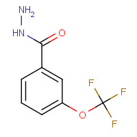 321195-88-4 3-(Trifluoromethoxy)benzhydrazide chemical structure