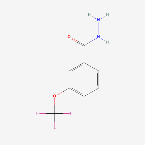 321195-88-4 3-(Trifluoromethoxy)benzhydrazide chemical structure
