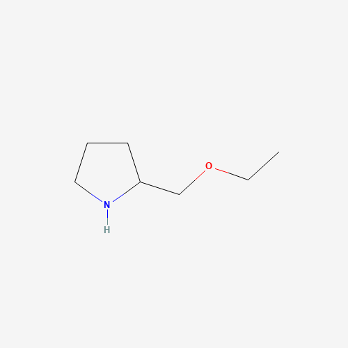 883538-81-6 2-(Ethoxymethyl)pyrrolidine chemical structure