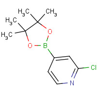 458532-84-8 2-Chloro-4-(4,4,5,5-tetramethyl-[1,3,2]-dioxaborolan-2-yl)-pyridine chemical structure