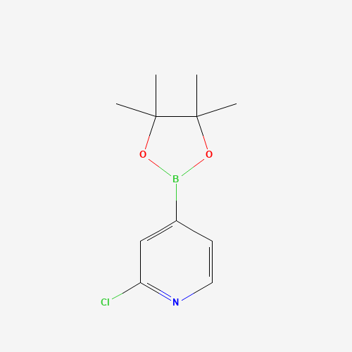 458532-84-8 2-Chloro-4-(4,4,5,5-tetramethyl-[1,3,2]-dioxaborolan-2-yl)-pyridine chemical structure