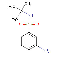 608523-94-0 3-Amino-N-tert-butyl-benzenesulfonamide chemical structure