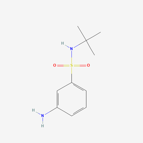 608523-94-0 3-Amino-N-tert-butyl-benzenesulfonamide chemical structure