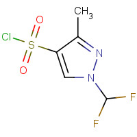 957490-44-7 1-Difluoromethyl-3-methyl-1H-pyrazole-4-sulfonyl chloride chemical structure