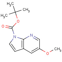 928653-83-2 5-Methoxy-pyrrolo[2,3-b]pyridine-1-carboxylic acid tert-butyl ester chemical structure