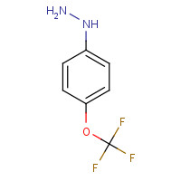 13957-54-5 [4-(Trifluoromethoxy)phenyl]hydrazine chemical structure