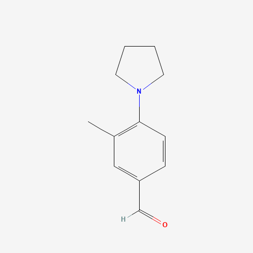 461033-80-7 3-Methyl-4-pyrrolidin-1-yl-benzaldehyde chemical structure