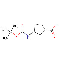 261165-05-3 (1S,3R)-Boc-3-aminocyclopentane-1 carboxylic acid chemical structure
