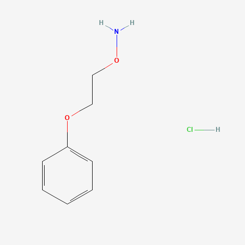 5397-72-8 1-[2-(Aminooxy)ethoxy]benzene hydrochloride chemical structure