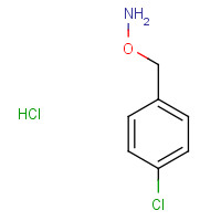 38936-60-6 1-[(Aminooxy)methyl]-4-chlorobenzene hydrochloride chemical structure