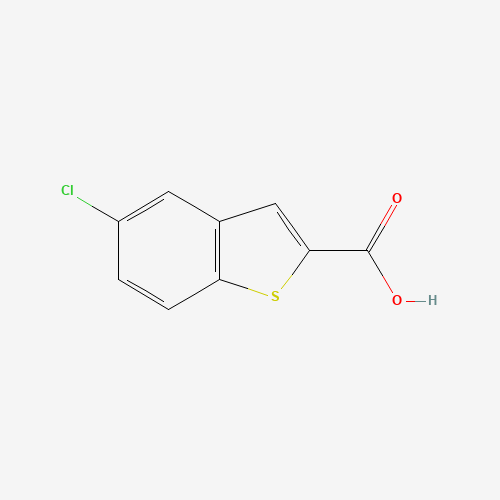 13771-75-0 5-Chloro-1-benzothiophene-2-carboxylic acid chemical structure