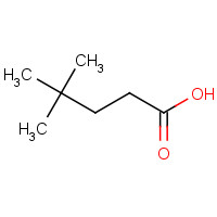 1118-47-4 4,4-Dimethylpentanoic acid chemical structure