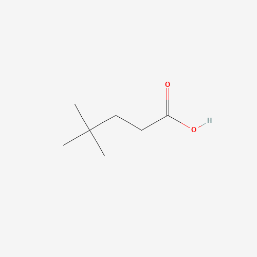 1118-47-4 4,4-Dimethylpentanoic acid chemical structure