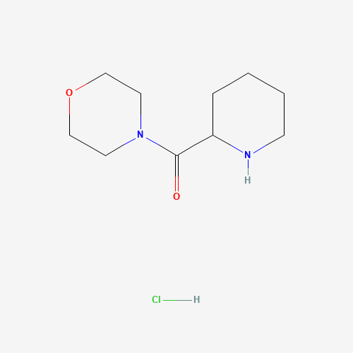 690634-79-8 4-Morpholinyl(2-piperidinyl)methanone hydrochloride chemical structure