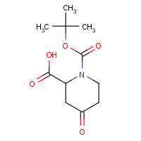 198646-60-5 1-(tert-Butoxycarbonyl)-4-oxopiperidine-2-carboxylic acid chemical structure