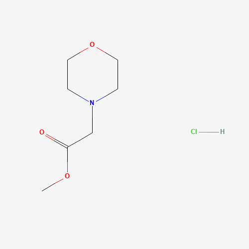 67067-94-1 Morpholin-4-yl-acetic acid methyl ester hydrochloride chemical structure