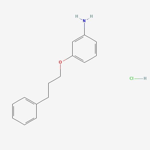 17399-25-6 [3-(3-Phenylpropoxy)phenyl]amine hydrochloride chemical structure