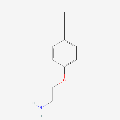 50634-73-6 [2-(4-tert-Butylphenoxy)ethyl]amine chemical structure