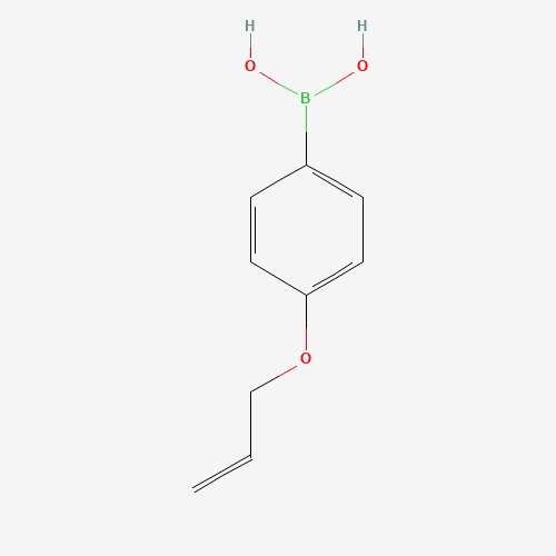 1117776-68-7 [4-(Allyloxy)phenyl]boronic acid chemical structure
