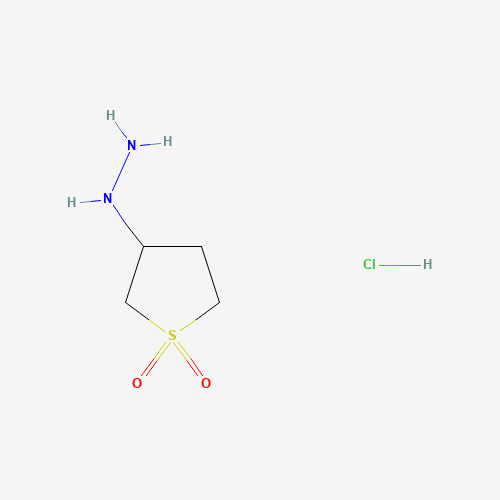 1004-15-5 (1,1-Dioxidotetrahydro-3-thienyl)hydrazine hydrochloride chemical structure