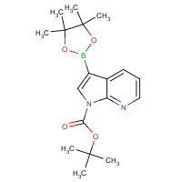 942070-47-5 tert-Butyl 3-(4,4,5,5-tetramethyl-1,3,2-dioxaborolan-2-yl)-1H-pyrrolo[2,3-b]pyridine-1-carboxylate chemical structure