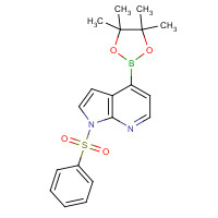 942919-24-6 1-Phenylsulfonyl-7-azaindole-4-boronic acid pinacol ester chemical structure