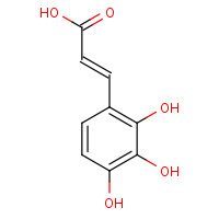 13058-13-4 (E)-3-(2,3,4-Trihydroxyphenyl)prop-2-enoic acid chemical structure