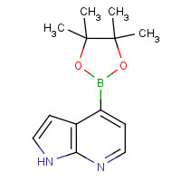 942919-26-8 4-(4,4,5,5-Tetramethyl-1,3,2-dioxaborolan-2-yl)-1H-pyrrolo[2,3-b]pyridine chemical structure