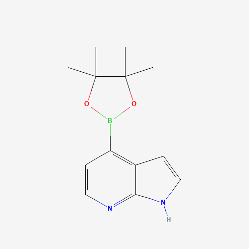 942919-26-8 4-(4,4,5,5-Tetramethyl-1,3,2-dioxaborolan-2-yl)-1H-pyrrolo[2,3-b]pyridine chemical structure