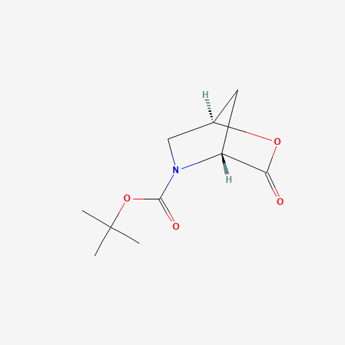 848488-70-0 (1R,4R)-tert-Butyl-3-oxo-2-oxa-5-azabicyclo-[2.2.1]heptane-5-carboxylate chemical structure