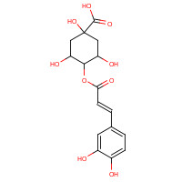905-99-7 4-{[(2E)-3-(3,4-Dihydroxyphenyl)-2-propenoyl]oxy}-1,3,5-trihydroxycyclohexanecarboxylic acid chemical structure