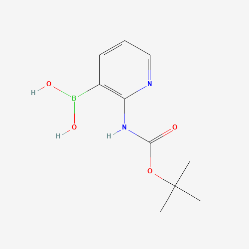 863753-35-9 (2-[(TERT-BUTOXYCARBONYL)AMINO]PYRIDIN-3-YL)BORONIC ACID chemical structure