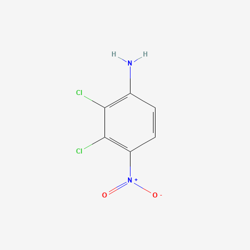 69951-03-7 BENZENAMINE, 2,3-DICHLORO-4-NITRO- chemical structure