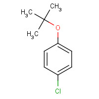 18995-35-2 1-tert-Butoxy-4-chlorobenzene chemical structure