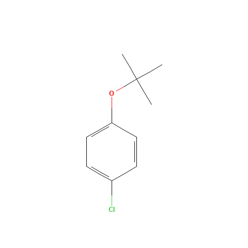 18995-35-2 1-tert-Butoxy-4-chlorobenzene chemical structure