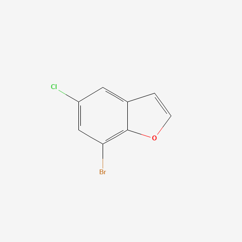 286836-07-5 7-Bromo-5-chloro-1-benzofuran chemical structure