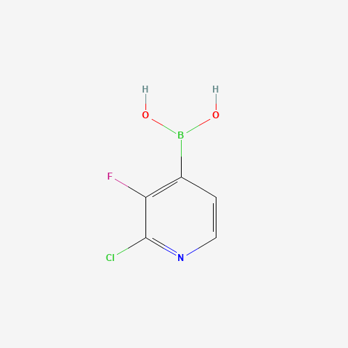 937595-71-6 (2-Chloro-3-fluoropyridin-4-yl)boronic acid chemical structure