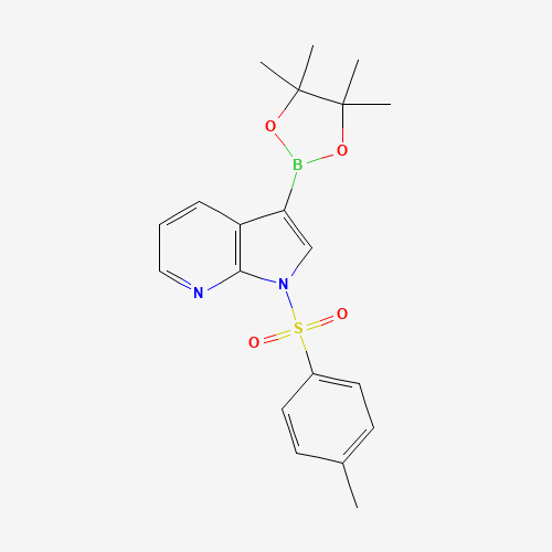 866545-91-7 1-[(4-Methylphenyl)sulfonyl]-3-(4,4,5,5-tetramethyl-1,3,2-dioxaborolan-2-yl)-1H-pyrrolo[2,3-b]pyridin chemical structure
