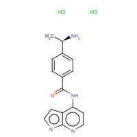 173897-44-4 4-[(1R)-1-Aminoethyl]-N-(1H-pyrrolo[2,3-b]pyridin-4-yl)benzamide dihydrochloride chemical structure