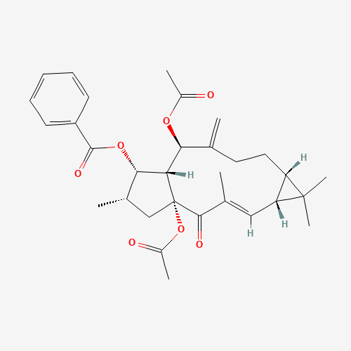 218916-52-0 (1aR,4aR,6S,7S,7aR,8R,11aS)-4a,8-Diacetoxy-1,1,3,6-tetramethyl-9-methylene-4-oxo-1a,4,4a,5,6,7,7a,8,9,10,11,11a-dodecahydro-1H-cyclopenta[a]cyclopropa[f][11]annulen-7-yl benzoate chemical structure