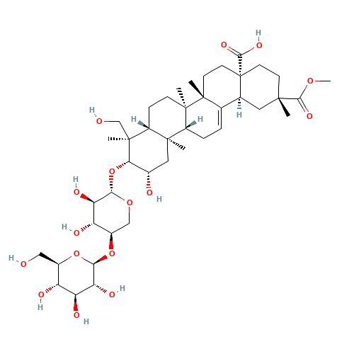 65497-07-6 4-O-(2,23,28-Trihydroxy-29-methoxy-28,29-dioxoolean-12-en-3-yl)pentopyranosyl hexopyranoside chemical structure