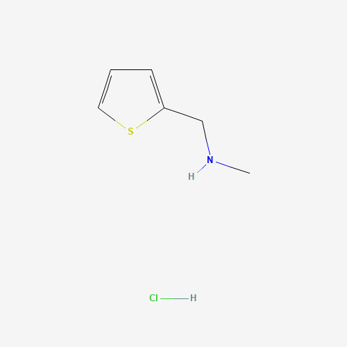 7404-67-3 N-Methyl-1-(2-thienyl)methanamine chemical structure