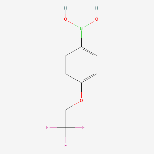 886536-37-4 [4-(2,2,2-Trifluoroethoxy)phenyl]boronic acid chemical structure