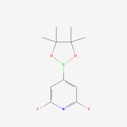 1204333-58-3 2,6-Difluoro-4-(4,4,5,5-tetramethyl-1,3,2-dioxaborolan-2-yl)pyridine chemical structure