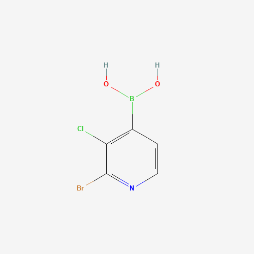 1003043-31-9 (2-Bromo-3-chloropyridin-4-yl)boronic acid chemical structure