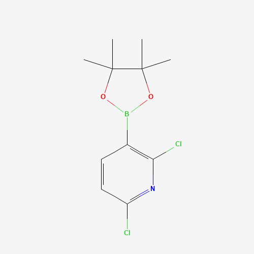 1073371-78-4 2,6-Dichloro-3-(4,4,5,5-tetramethyl-1,3,2-dioxaborolan-2-yl)pyridine chemical structure