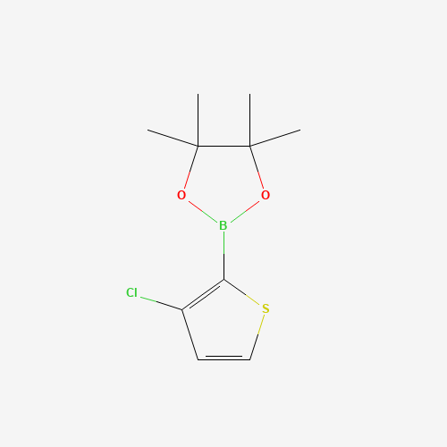 1040281-97-7 2-(3-Chloro-2-thienyl)-4,4,5,5-tetramethyl-1,3,2-dioxaborolane chemical structure